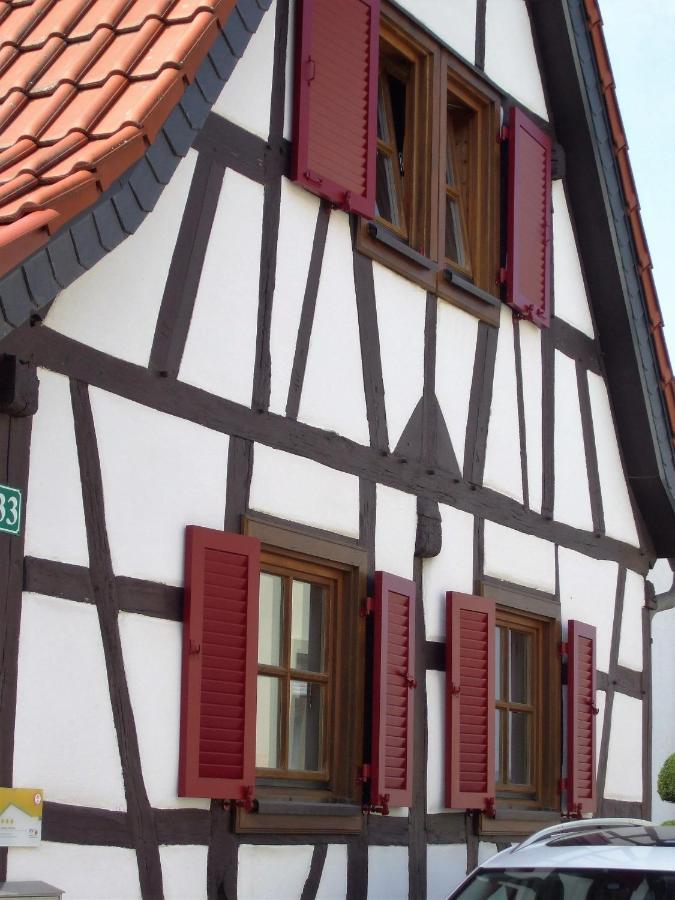 Ferienhaus Pfalzklause Billigheim-Ingenheim Kültér fotó